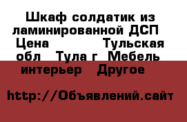 Шкаф-солдатик из ламинированной ДСП › Цена ­ 1 500 - Тульская обл., Тула г. Мебель, интерьер » Другое   